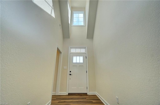 entryway featuring a wealth of natural light and dark hardwood / wood-style floors