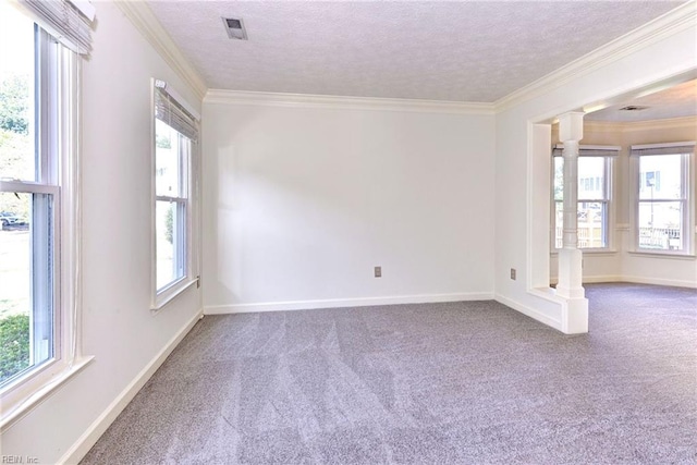 carpeted empty room with a textured ceiling, crown molding, and a wealth of natural light