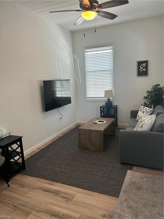 living room with ceiling fan and hardwood / wood-style floors