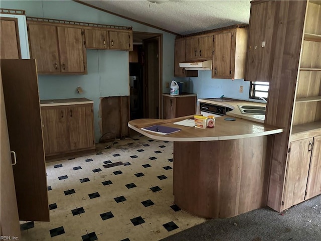 kitchen with a textured ceiling, sink, lofted ceiling, kitchen peninsula, and oven