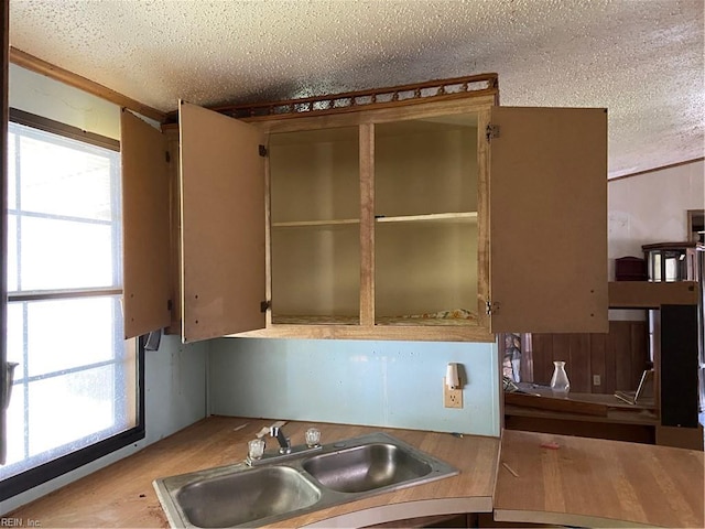 kitchen featuring a textured ceiling, a healthy amount of sunlight, and sink