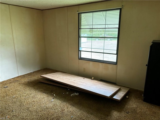 interior space featuring carpet and a textured ceiling