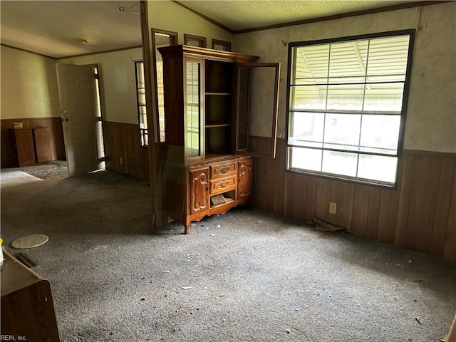 unfurnished room with carpet floors, a textured ceiling, and wood walls