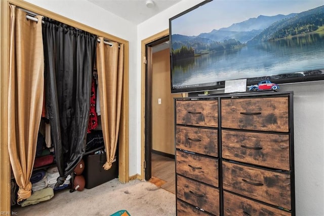 spacious closet with carpet