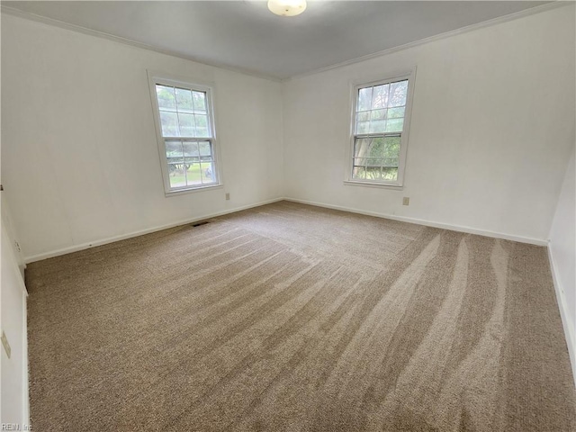 empty room with carpet floors, crown molding, and plenty of natural light