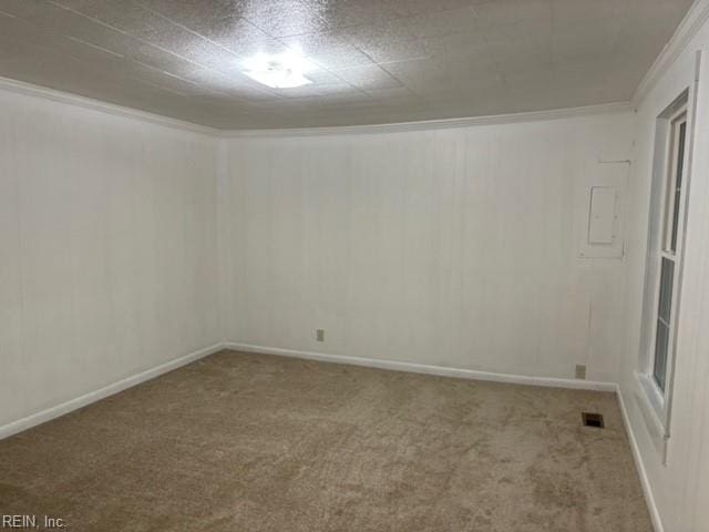 unfurnished room with ornamental molding and carpet flooring