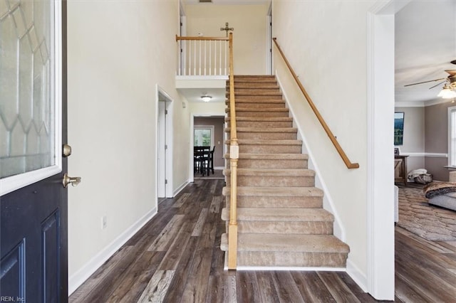 staircase featuring ceiling fan, hardwood / wood-style floors, and crown molding