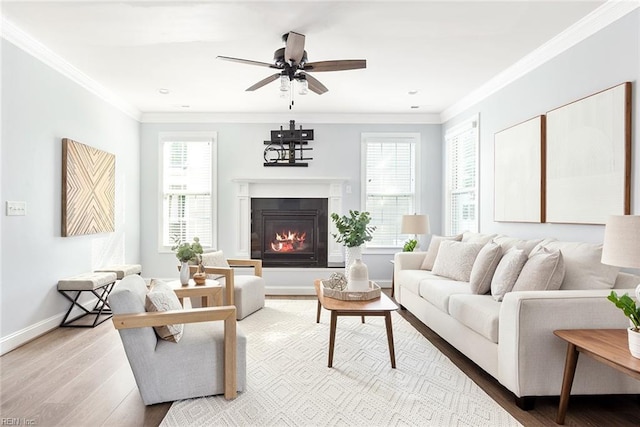 living room with ceiling fan, light hardwood / wood-style flooring, ornamental molding, and a healthy amount of sunlight