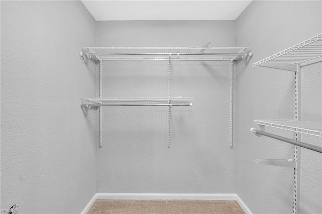 spacious closet with carpet flooring