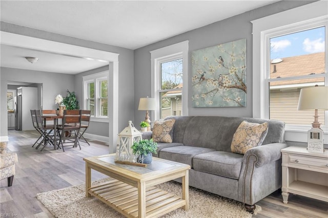 living room featuring light hardwood / wood-style floors