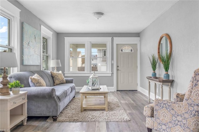 living room with light hardwood / wood-style floors