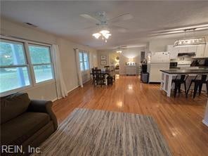 living room with ceiling fan and hardwood / wood-style flooring