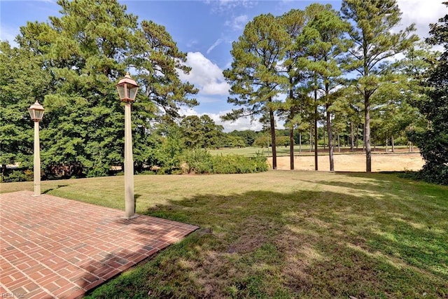 view of yard featuring a patio area