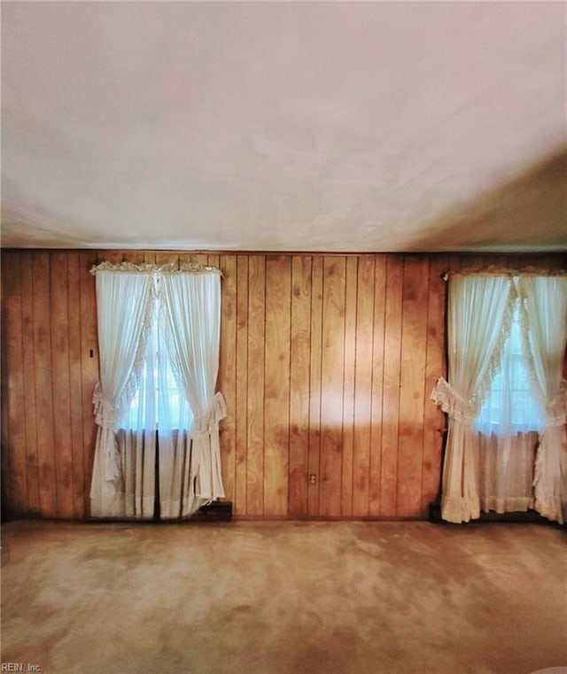 carpeted spare room with wooden walls