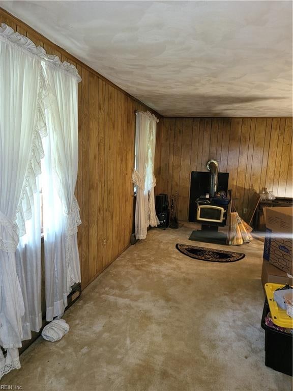 living area with wooden walls