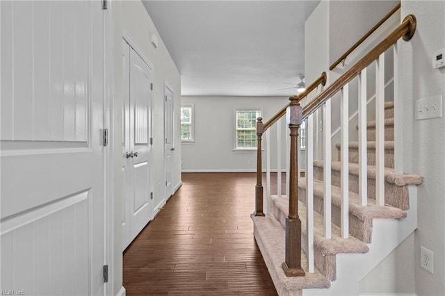 entrance foyer featuring ceiling fan and dark wood-type flooring