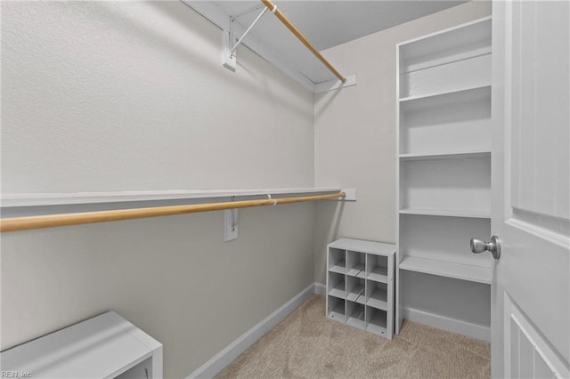 spacious closet with light colored carpet