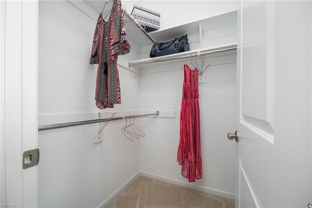 walk in closet featuring light carpet