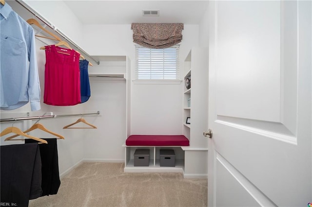 spacious closet featuring light colored carpet