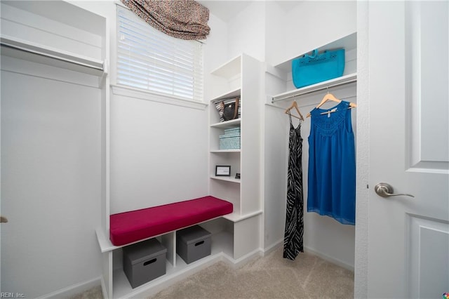 mudroom with light carpet