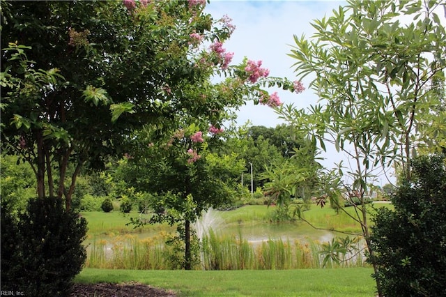 view of community with a lawn and a water view