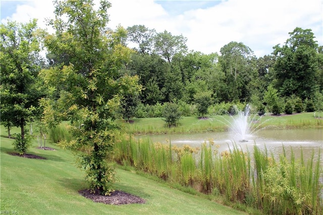 view of property's community with a yard and a water view