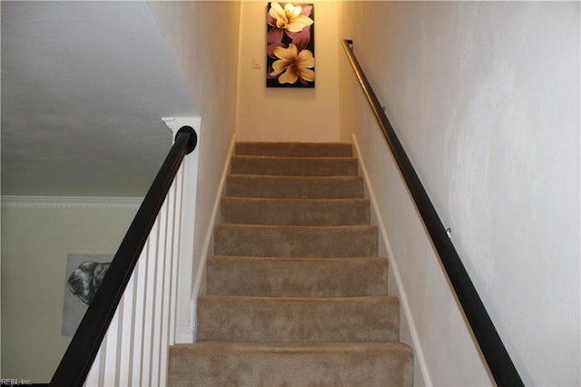 staircase featuring carpet floors and ornamental molding