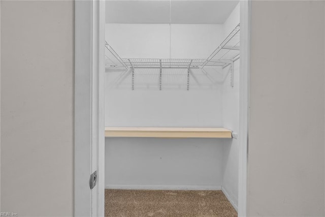 walk in closet with light carpet