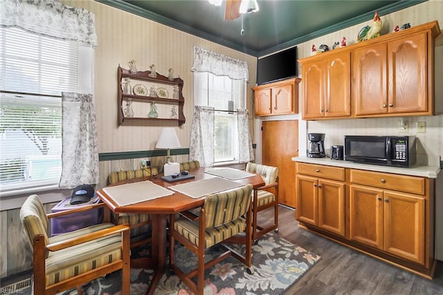 dining area featuring ceiling fan and dark hardwood / wood-style flooring