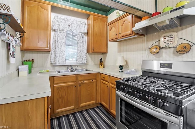 kitchen with stainless steel gas range oven, sink, and range hood