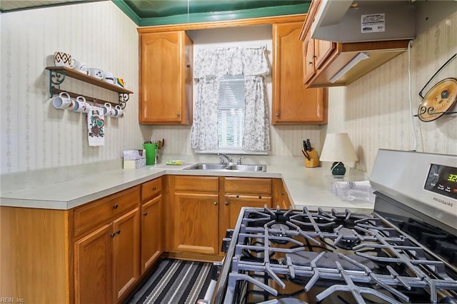 kitchen with stainless steel gas range oven, sink, and extractor fan