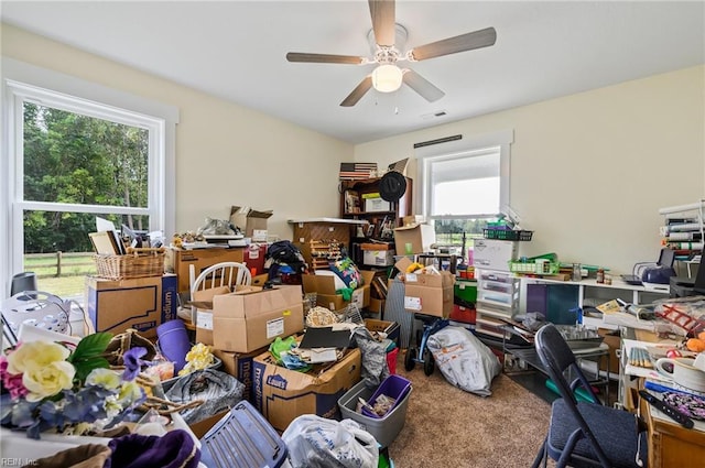 15338 Everets Rd, Windsor, VA 23487 - misc room featuring healthy amount of natural light, carpet flooring, and ceiling fan