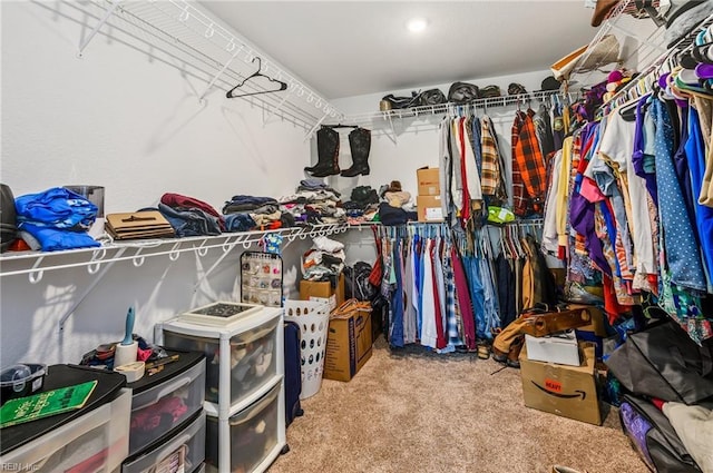 15338 Everets Rd, Windsor, VA 23487 - walk in closet featuring carpet floors