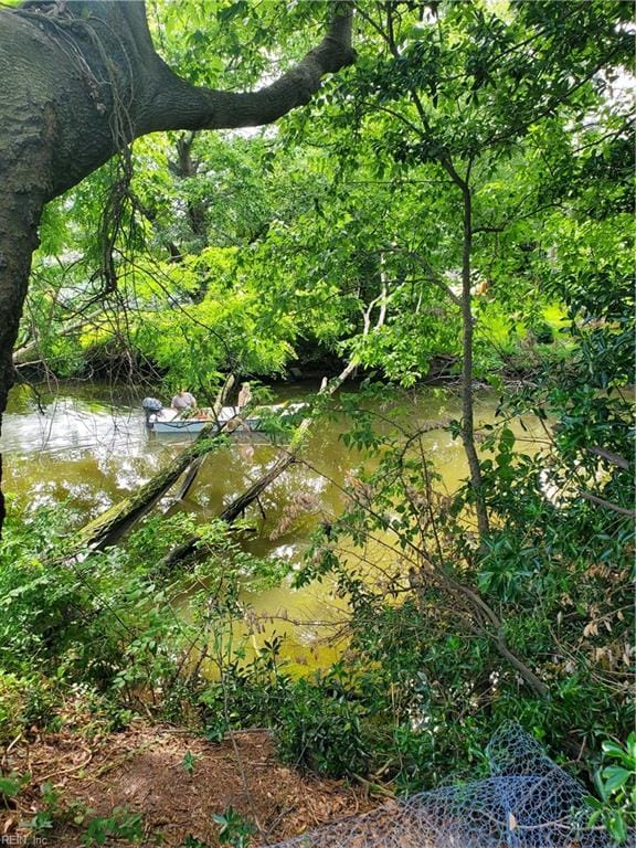 view of local wilderness featuring a water view