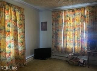 unfurnished room featuring carpet floors, a textured ceiling, and ornamental molding