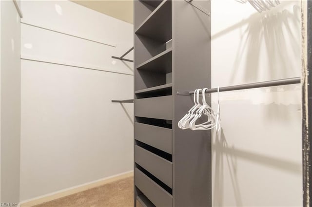 walk in closet featuring light colored carpet