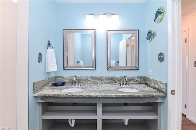 bathroom featuring hardwood / wood-style flooring and vanity