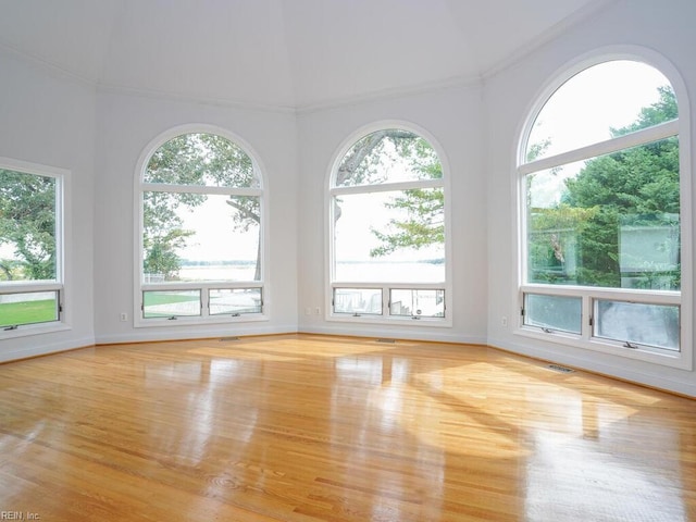 empty room featuring light wood-type flooring, a healthy amount of sunlight, and vaulted ceiling