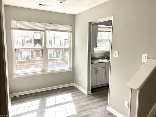 interior space featuring a textured ceiling, light hardwood / wood-style floors, and sink