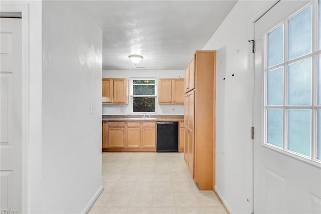 kitchen featuring dishwasher, light brown cabinets, and sink