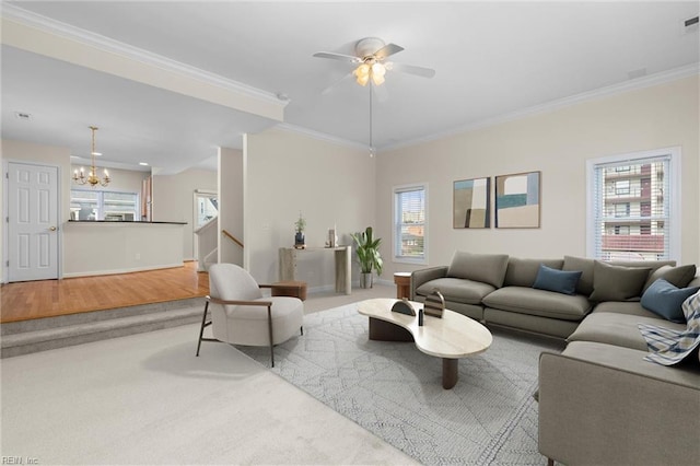 carpeted living room with ceiling fan with notable chandelier and crown molding