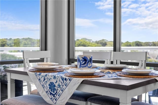 dining area featuring plenty of natural light and breakfast area