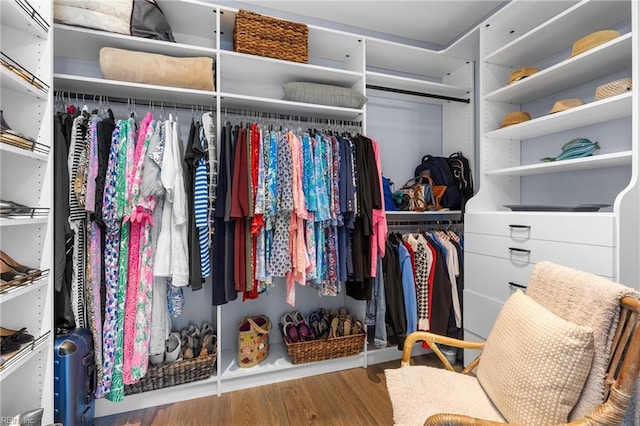 spacious closet featuring wood-type flooring