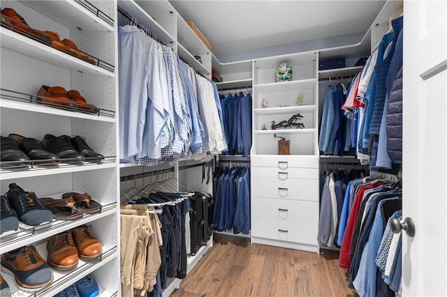 spacious closet with hardwood / wood-style flooring