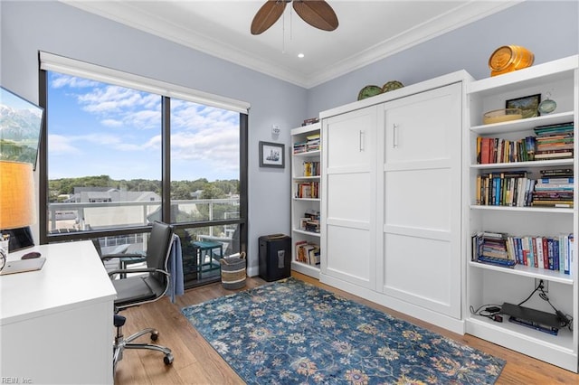 home office with crown molding, light hardwood / wood-style floors, and ceiling fan