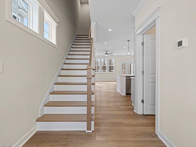 staircase with hardwood / wood-style floors