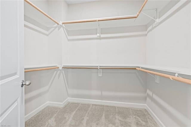 spacious closet featuring built in desk and carpet