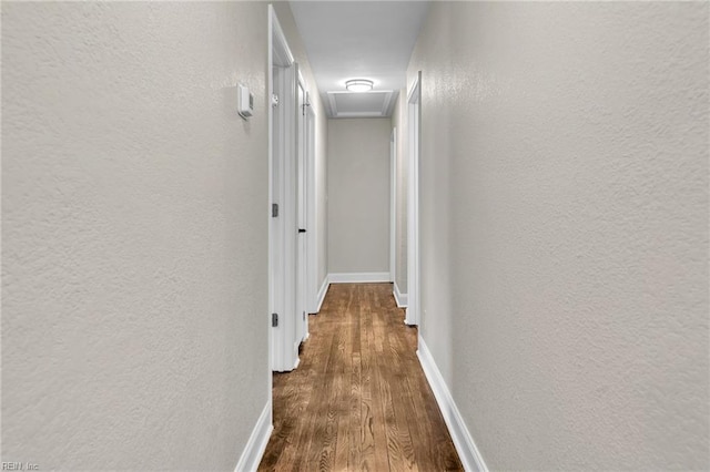 hallway featuring dark hardwood / wood-style floors