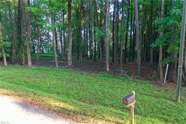 Listing photo 3 for 1.3AC Bradbys Ln, Smithfield VA 23430