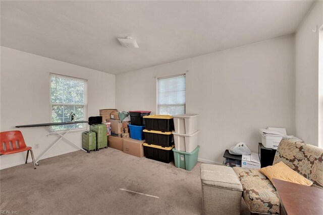 misc room with carpet and a wealth of natural light